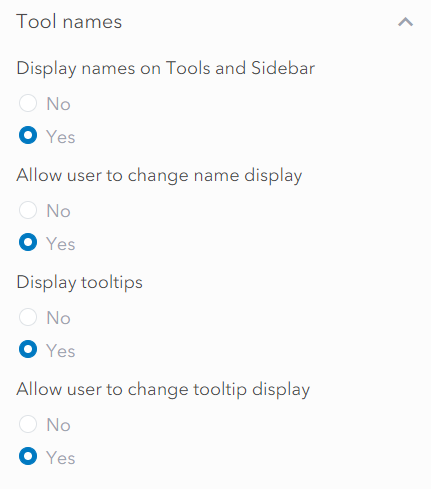 The tool name settings in the builder
